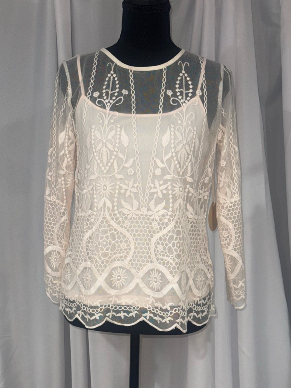 Pale Pink Sheer Embroidered Lace Blouse with Long Sleeves